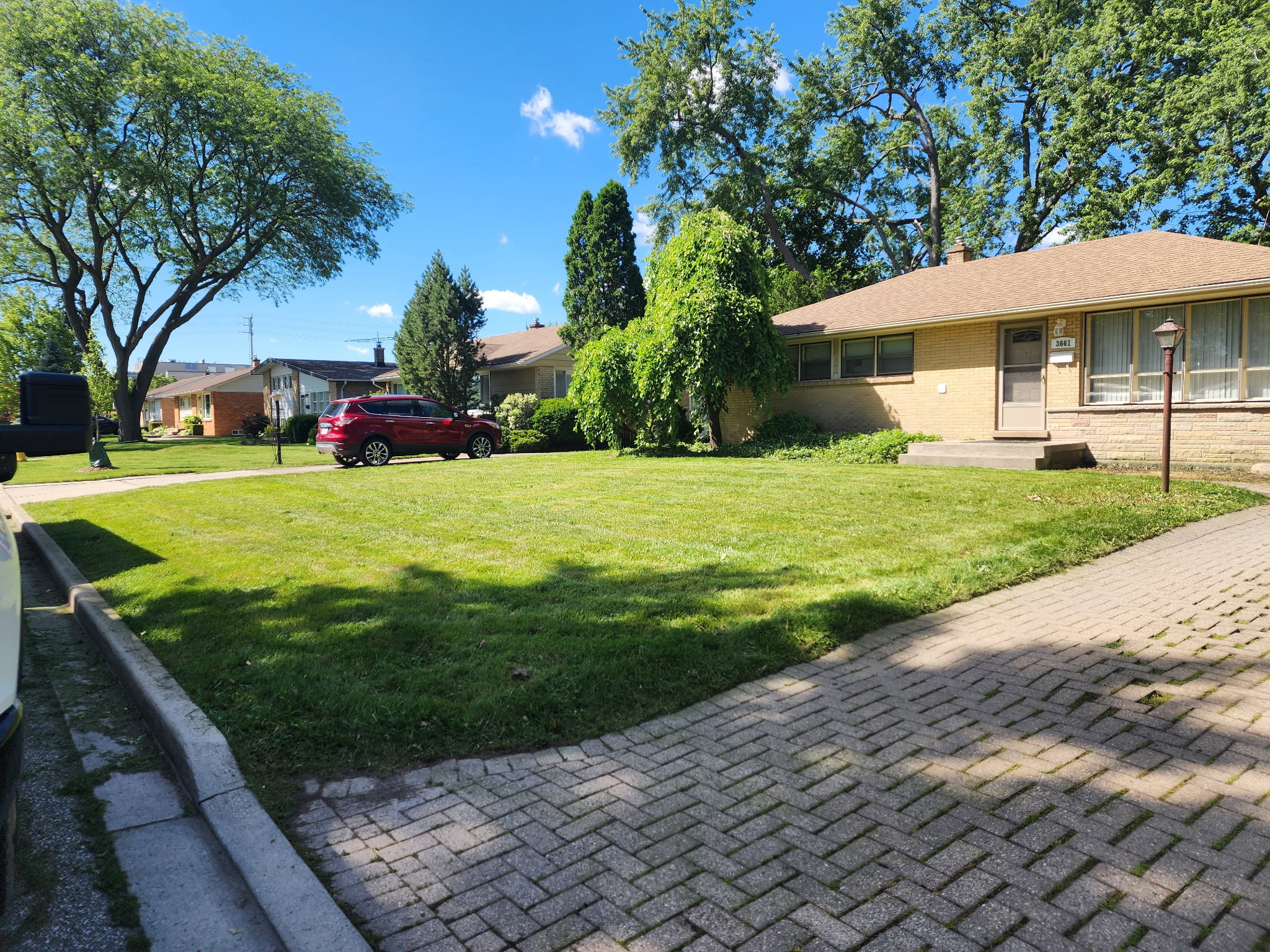 Property Maintenance